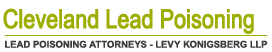 lead poisoning Law Firm | Levy Konigsberg LLP